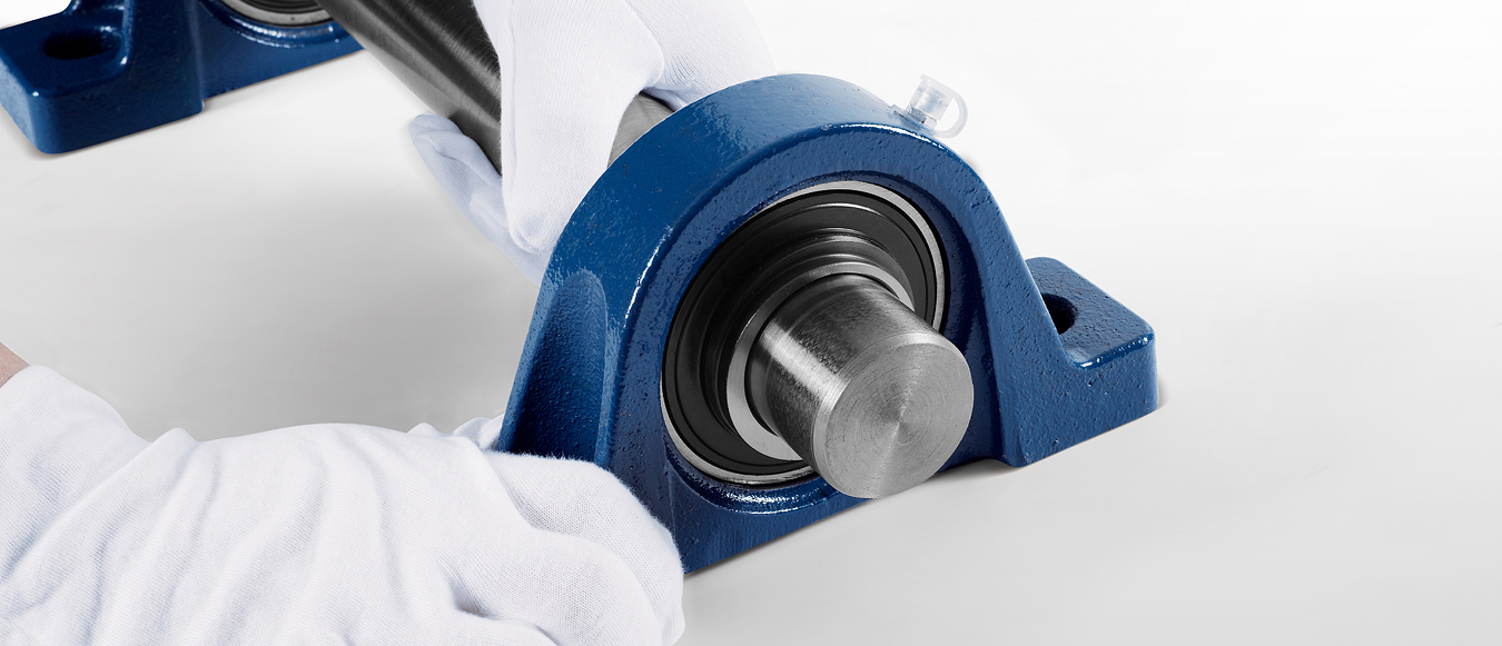 hcp02-2_1.jpg hcp02-2_1.jpg